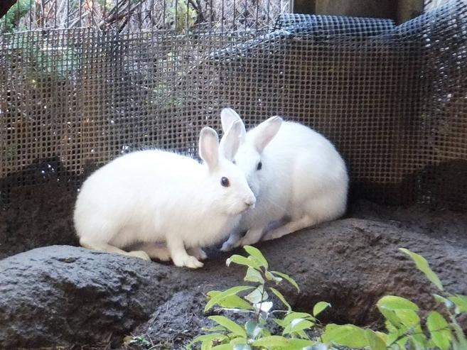 色気より食い気♡♡♡♡♡♡の写真