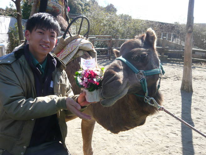ピノ、お誕生日おめでとう!!の写真