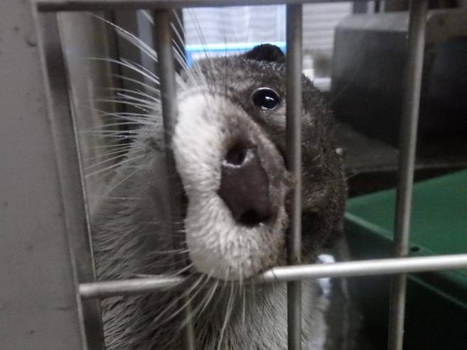 みんな元気です☆の写真