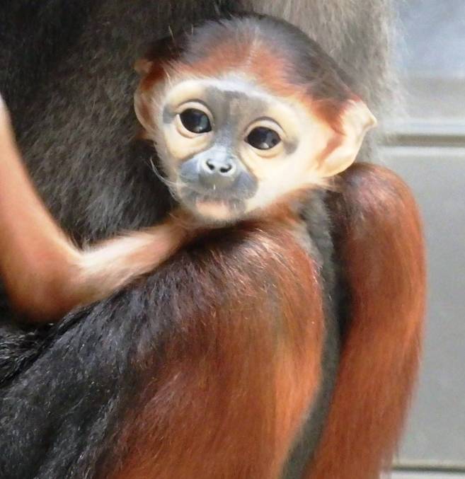 愛称が決まりました!の写真