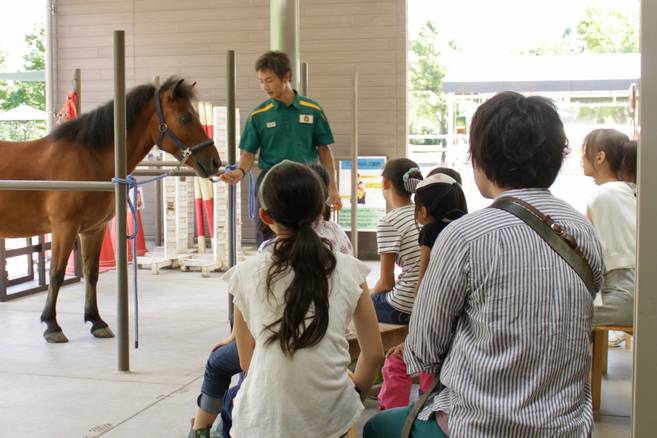6/20より「馬の飼育係になってみよう」の受付を開始しますの写真