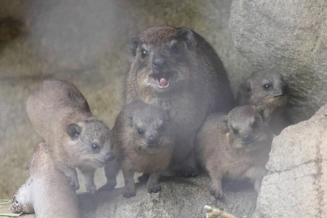 2か月過ぎました★の写真
