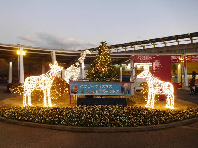 ハッピークリスマスinズーラシアの写真