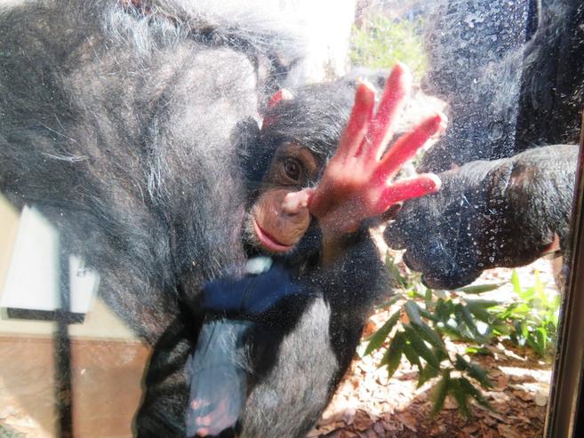 ハルも大きくなりました!の写真