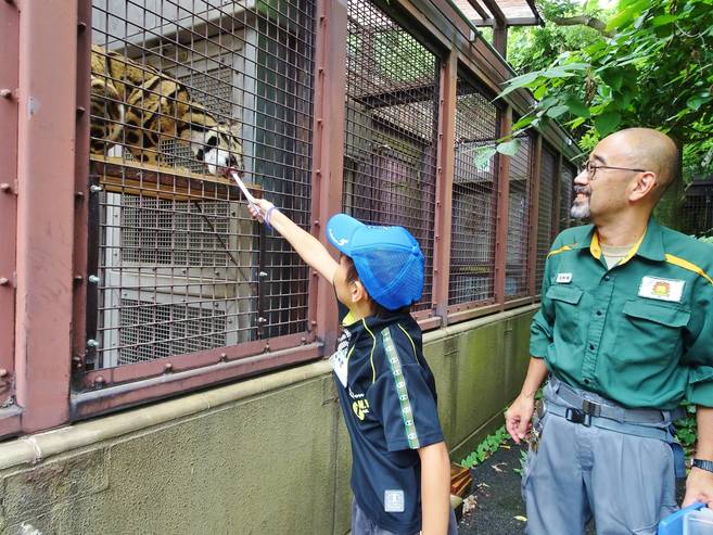 ズーラシア1日飼育体験 参加者募集!の写真