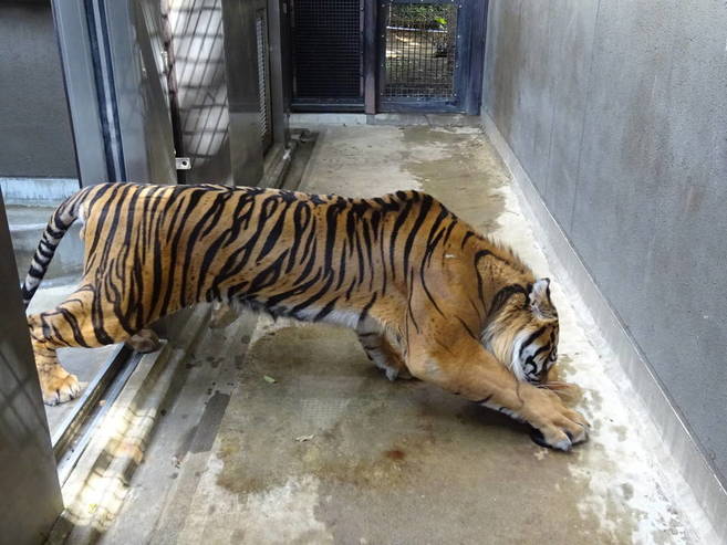 試行錯誤の一例の写真