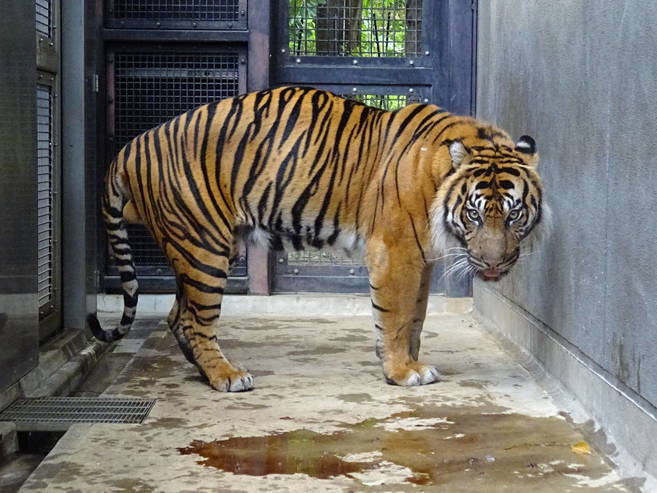 出社(舎)拒否継続中の写真