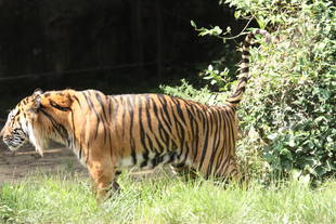 僅か一日・・・(*_*)