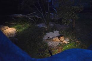 夏の思い出♪*・゚