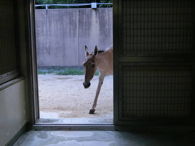 ミンミンと担当者のシルバーウィーク☆の写真