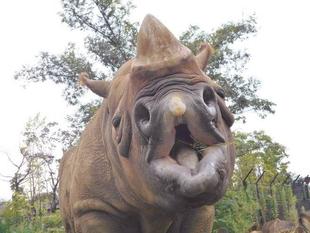 二度目は失敗(+_+)