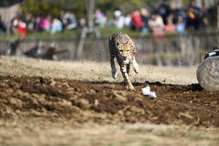チーラン ~裏側紹介①~