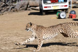 チーラン ~おすすめスポット~