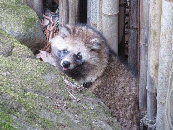 好きスポット①の写真