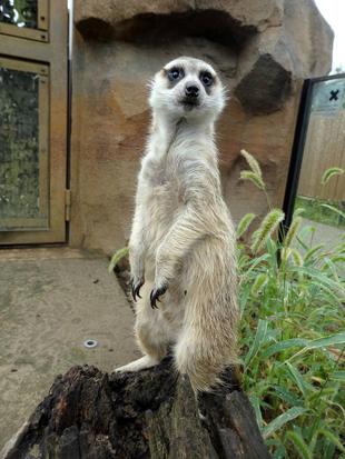 いってらっしゃい!!