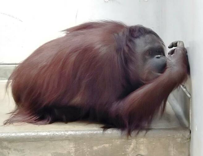 覚えているかな?の写真