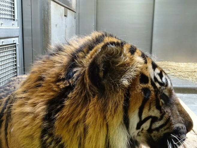 見かけが小さくなっていきます・・・の写真