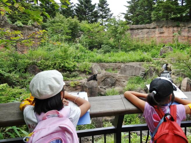夏休み宿題教室 参加者募集!の写真