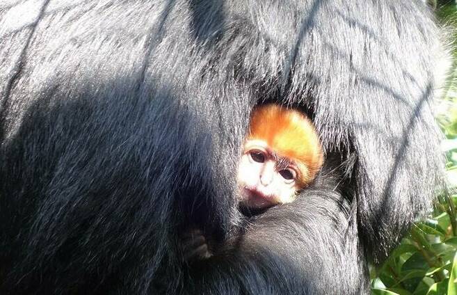 愛称がきまりました♪の写真