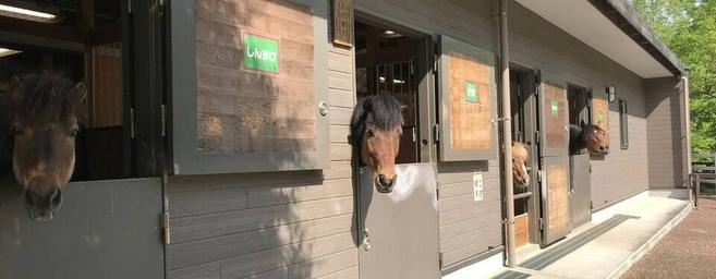 お腹空いてるの?の写真