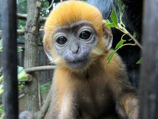 だんだんと活発に