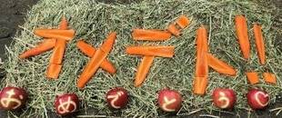 熱い視線の先には...