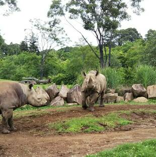 アキリ大躍進中!