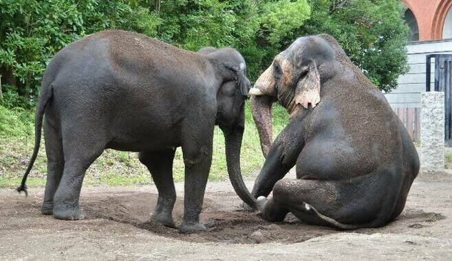 座れるんだねラスクマルの写真
