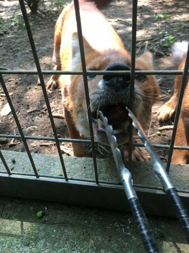 アイスキューブ☆*+。の写真