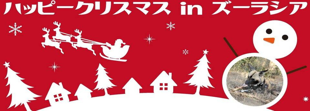 ハッピークリスマスinズーラシアの写真