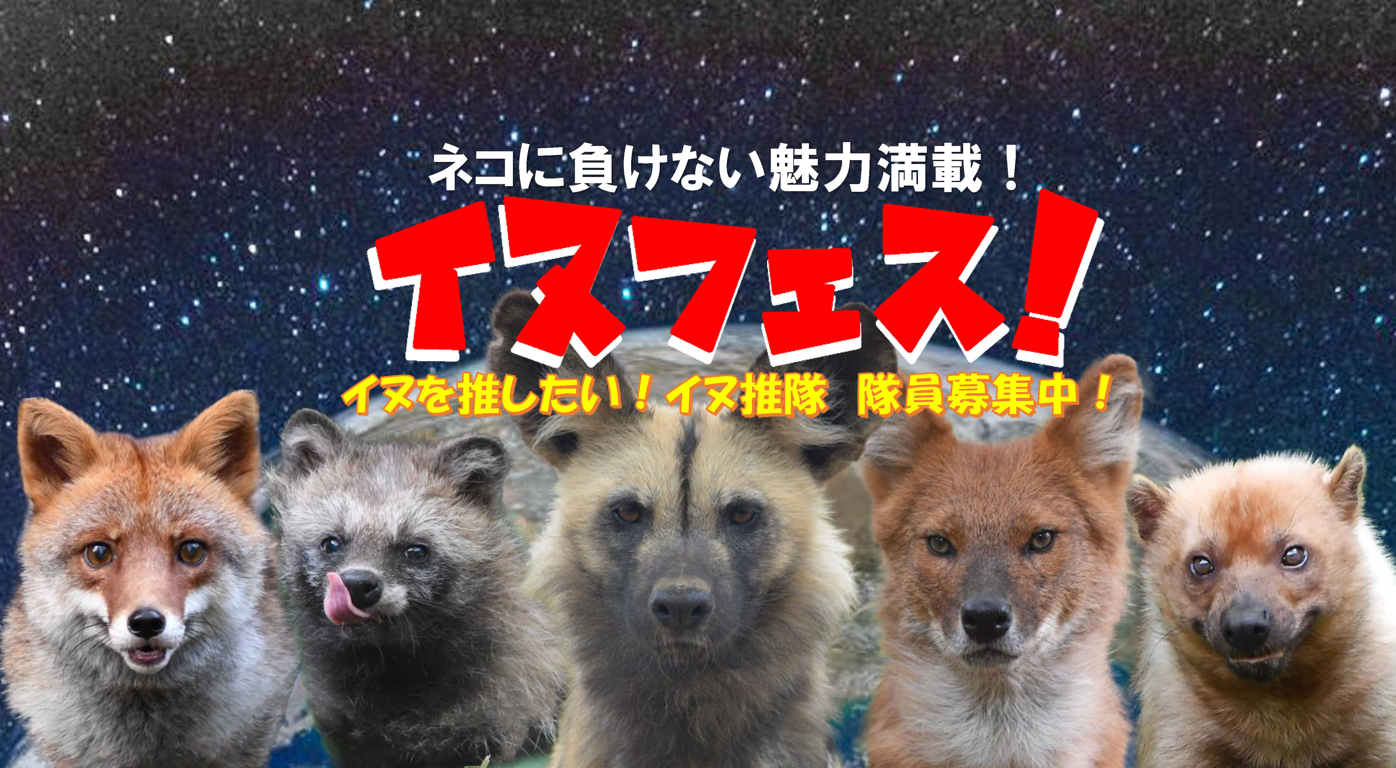 イヌフェス!開催の写真