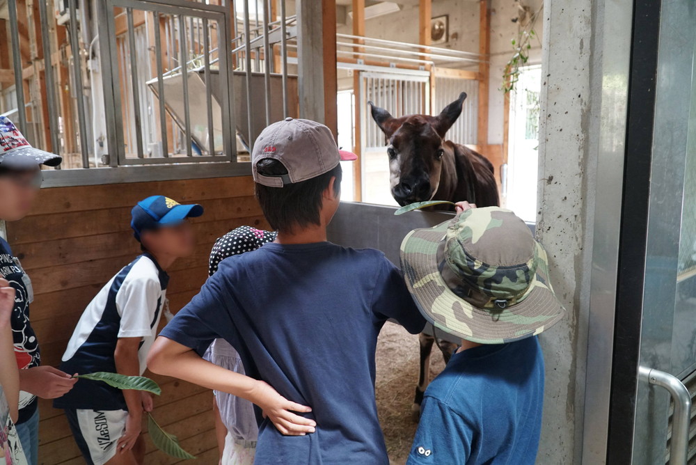 【神奈川県在住限定】ズーラシア飼育体験参加者募集!(10/1 0:00~10/18 23:59)の写真
