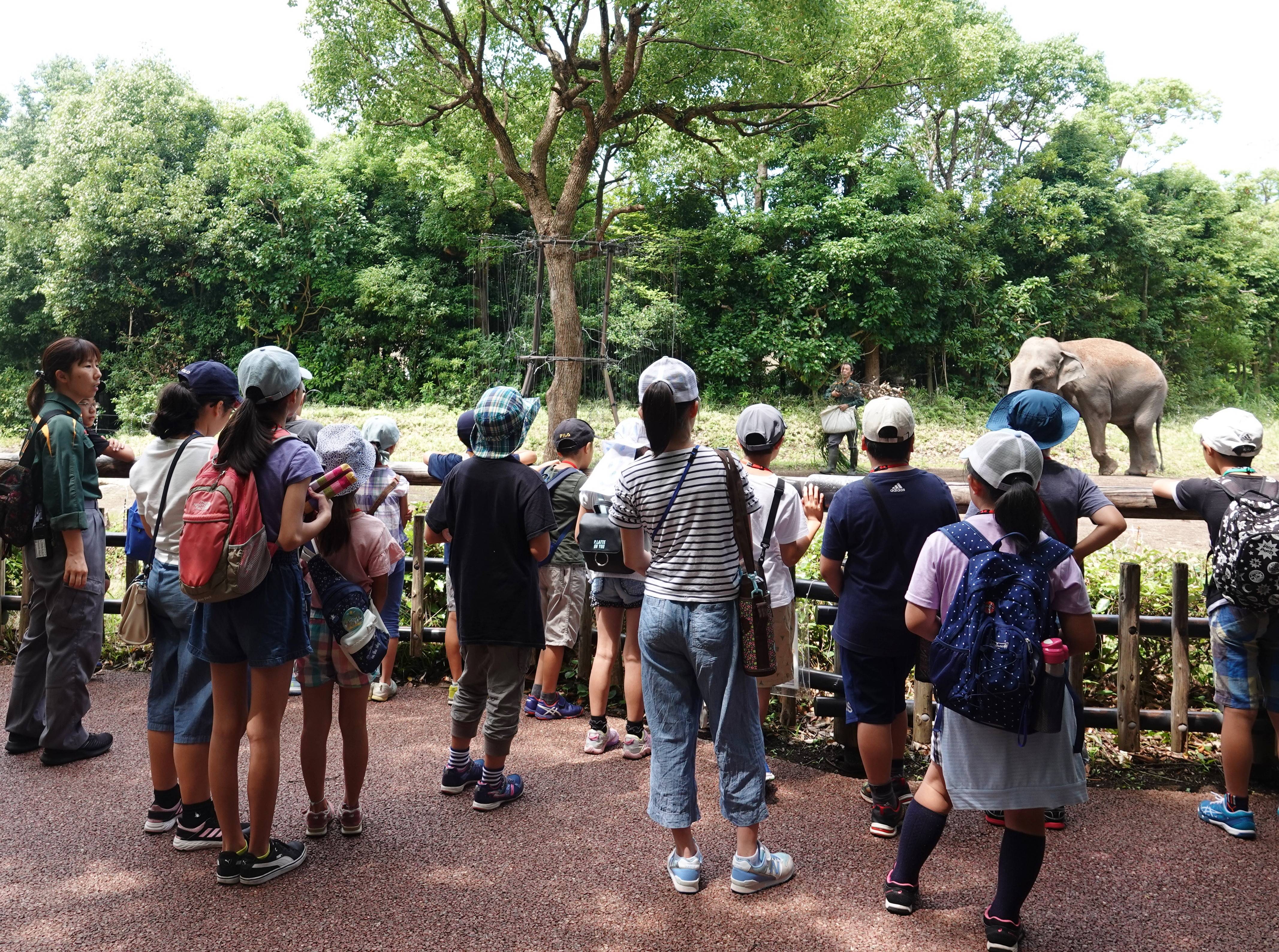 【募集終了】【神奈川県在住限定】ズーラシア宿題教室参加者募集!(11/1 0:00~11/18 23:59)の写真