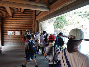 🐧夏休み宿題教室「動物のヒミツ発見!」を実施しました🐧