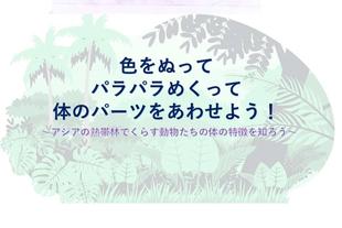 11月のどうぶつ教室は...アジアの熱帯林ゾーンがテーマ!!!