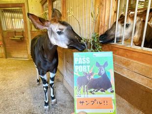 2025年の年間パスポートデザインが完成しました♪
