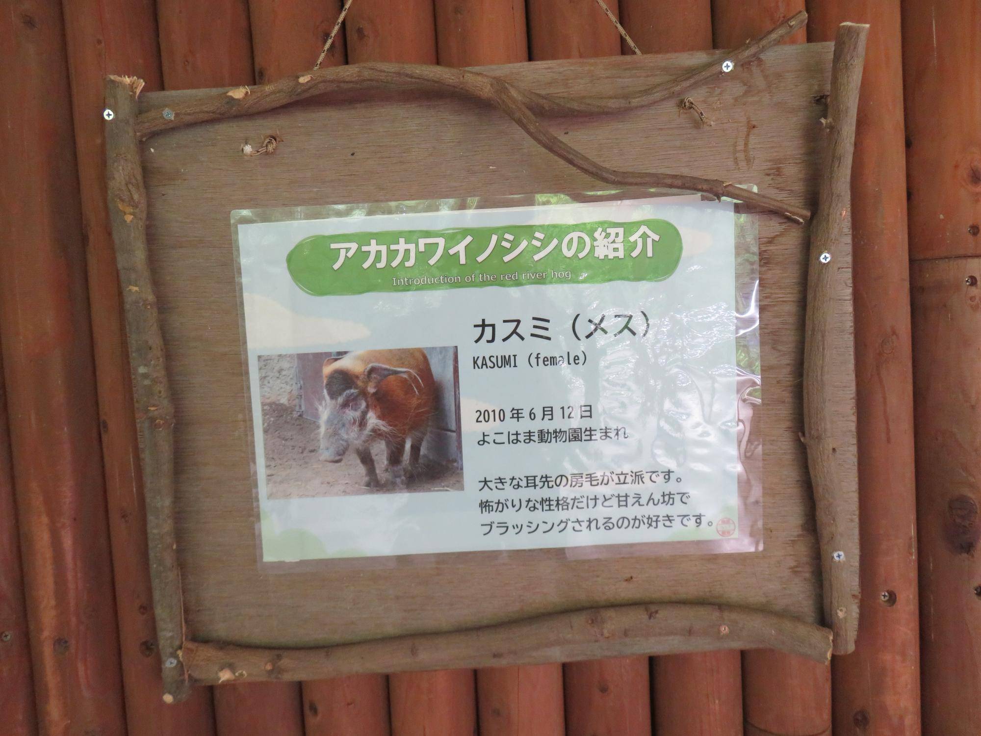 個体紹介の看板を設置しました!の写真