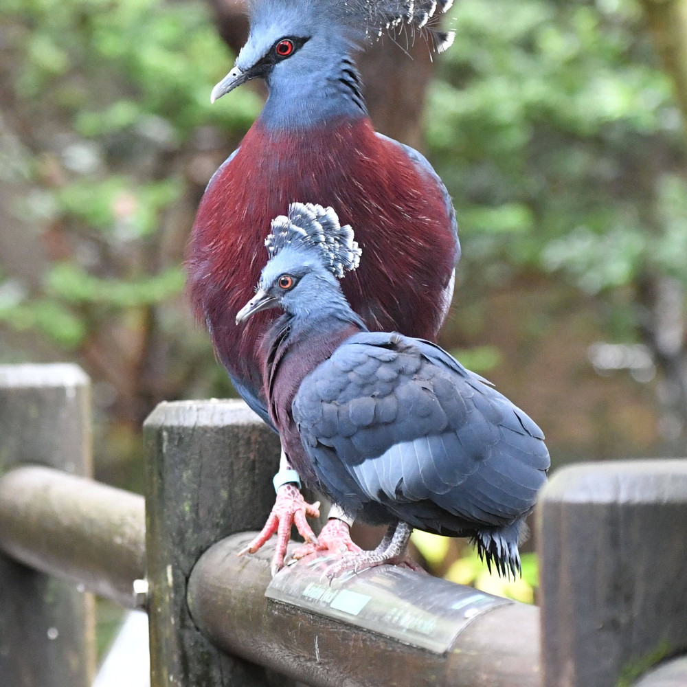 2019.11.24toriminngu.jpg