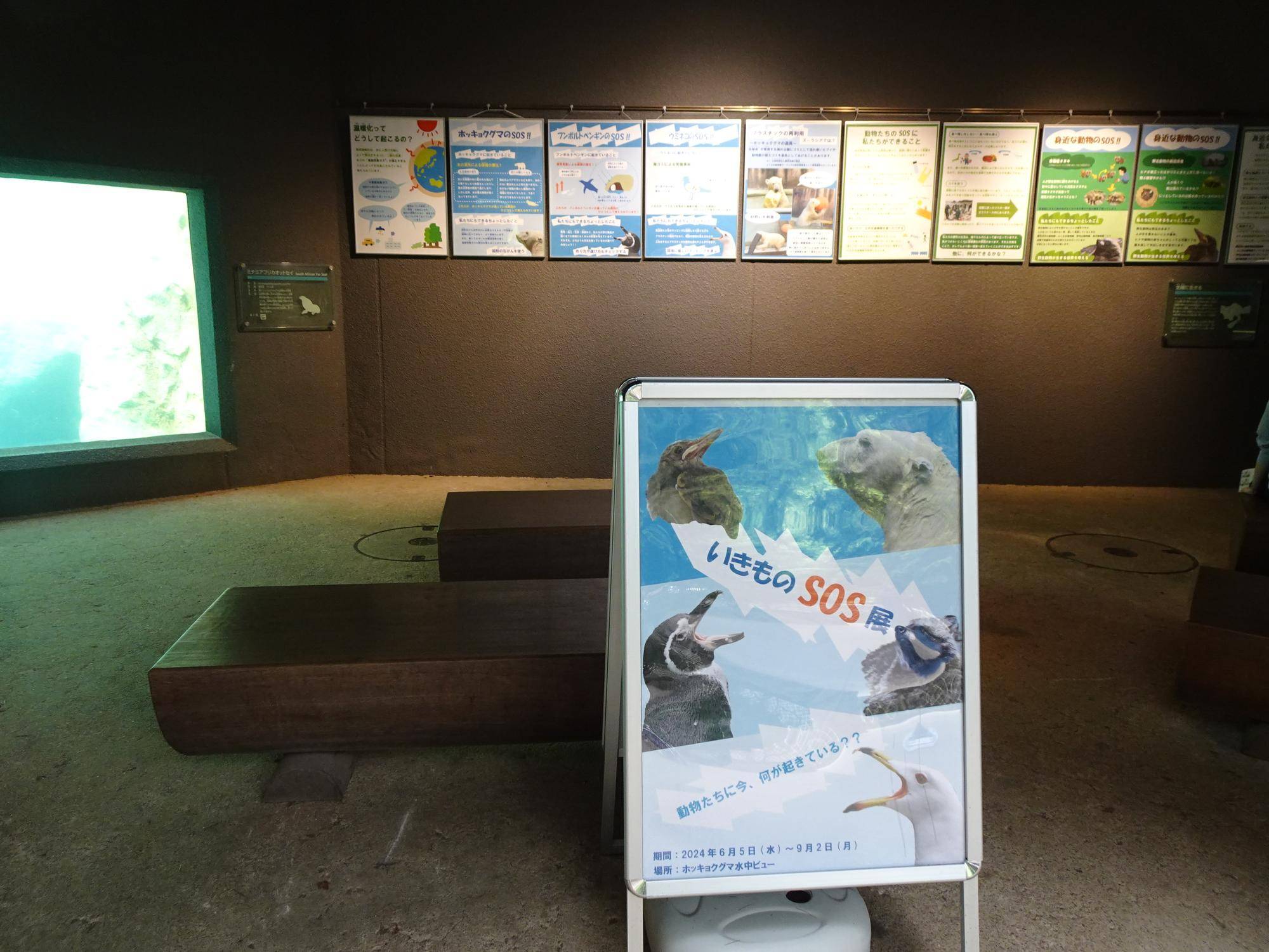 いきものSOS展 昨年の様子 (1).jpg