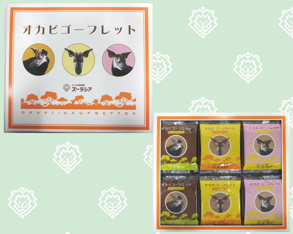 オカピゴーフレット.jpg