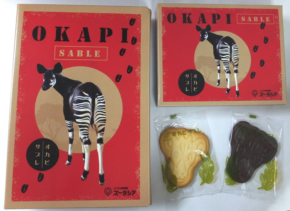 サブレ (1).jpg