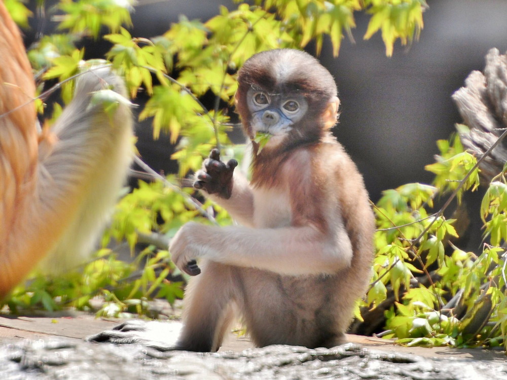 DSC_1312補正.jpg
