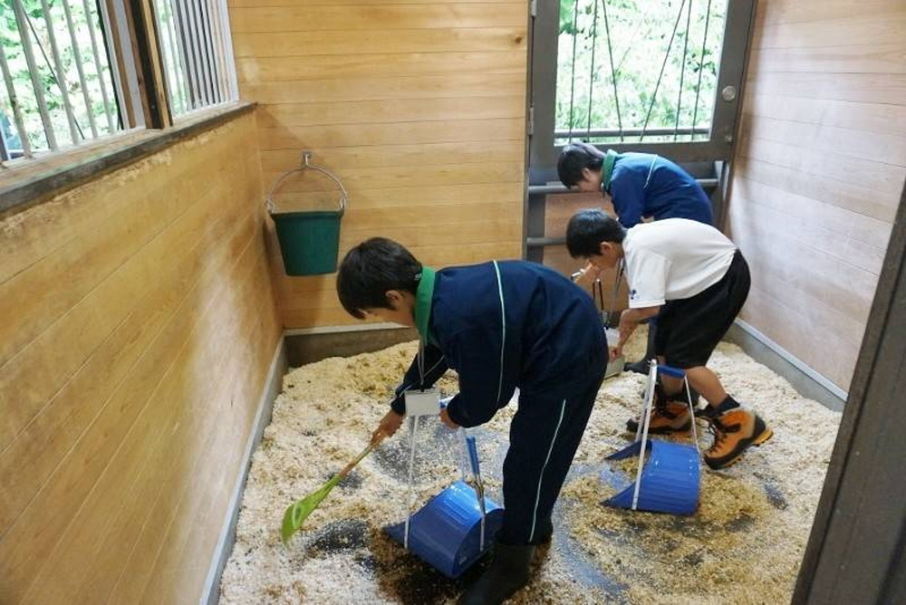 職場体験.jpg