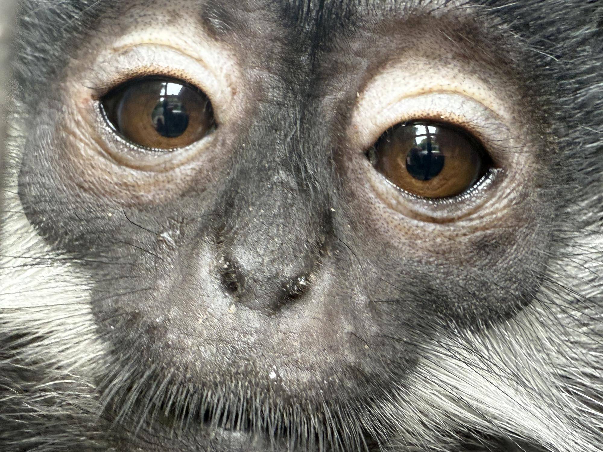 【飼育日誌】20250716:ユズぽん通信最終回 (19).jpg