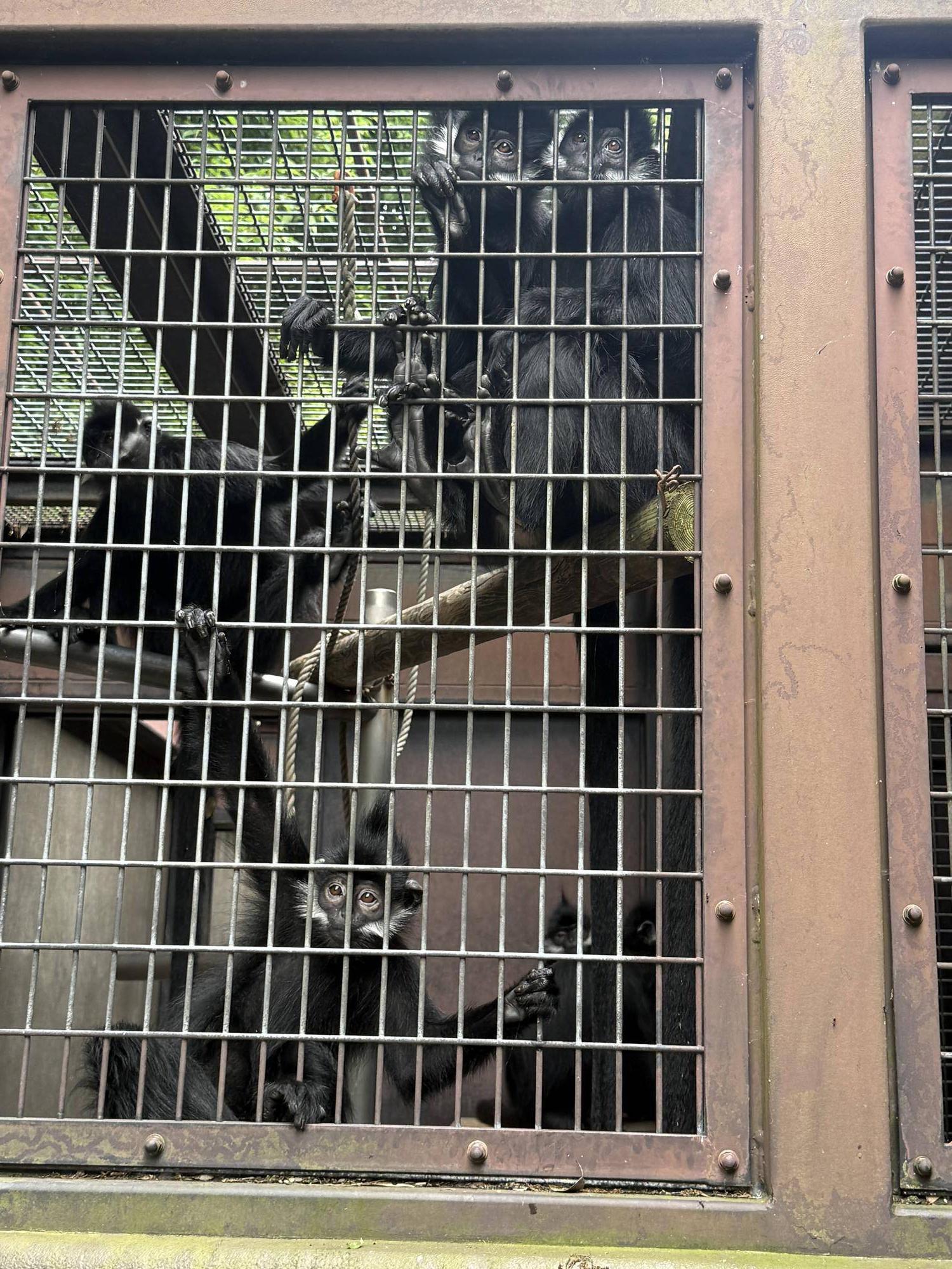 【飼育日誌】20250716:ユズぽん通信最終回 (18).jpg