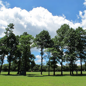 公園イメージ