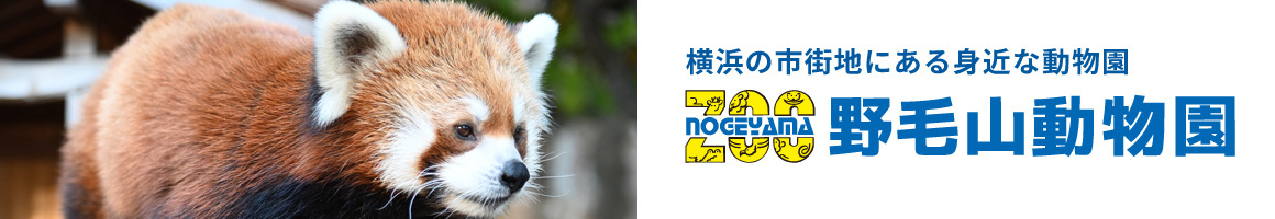 野毛山動物園