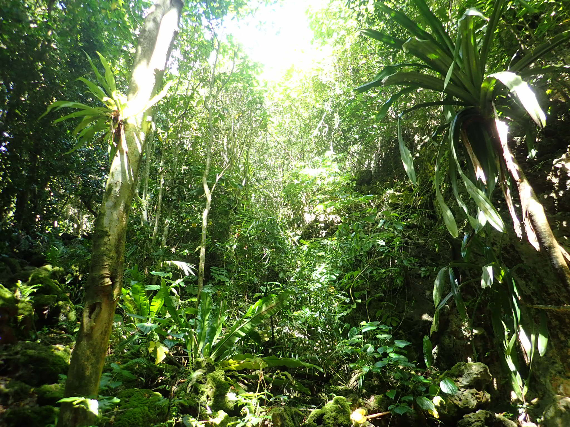 協会トップ画像