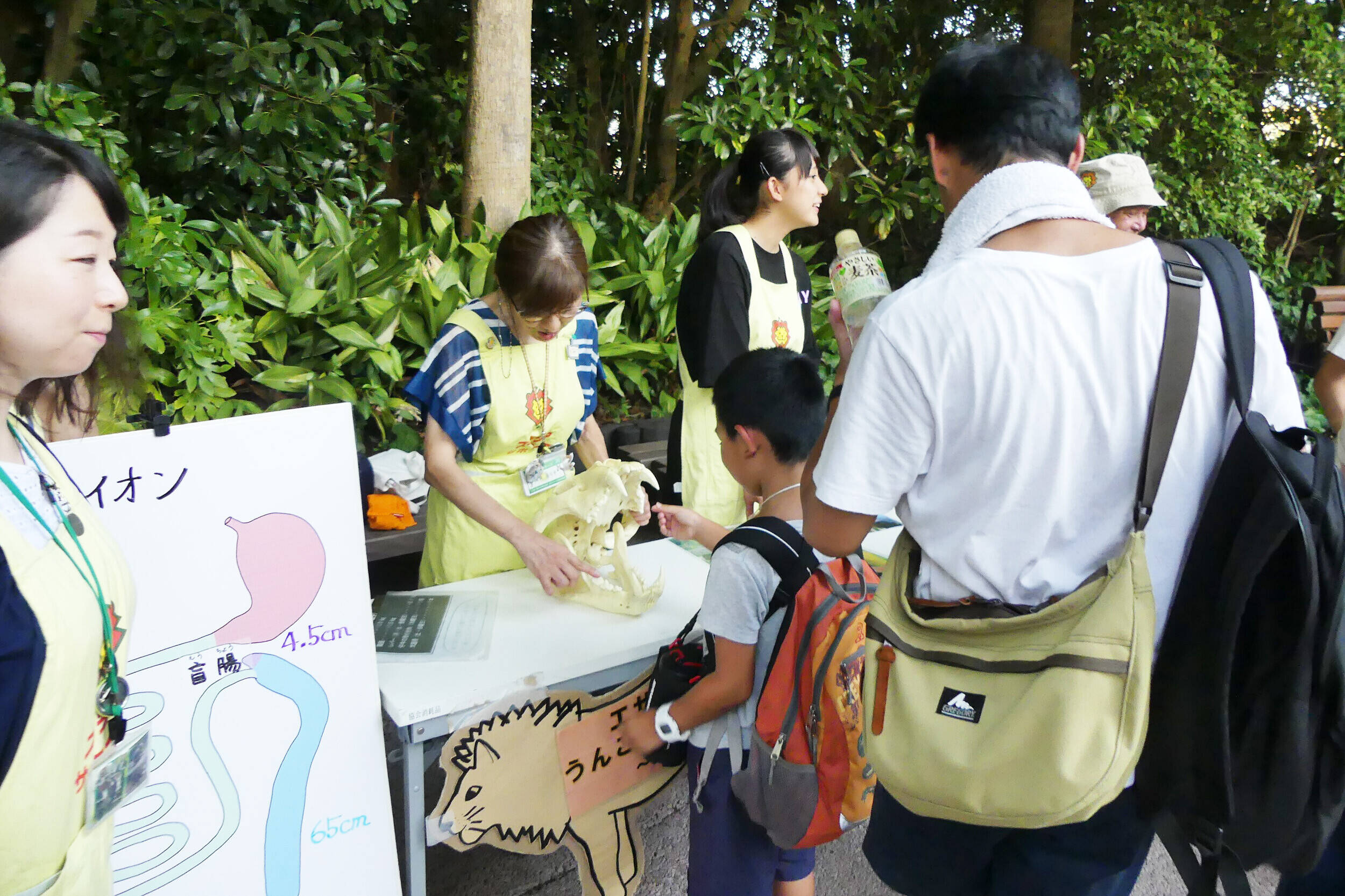 zoorasia_volunteer2.jpg