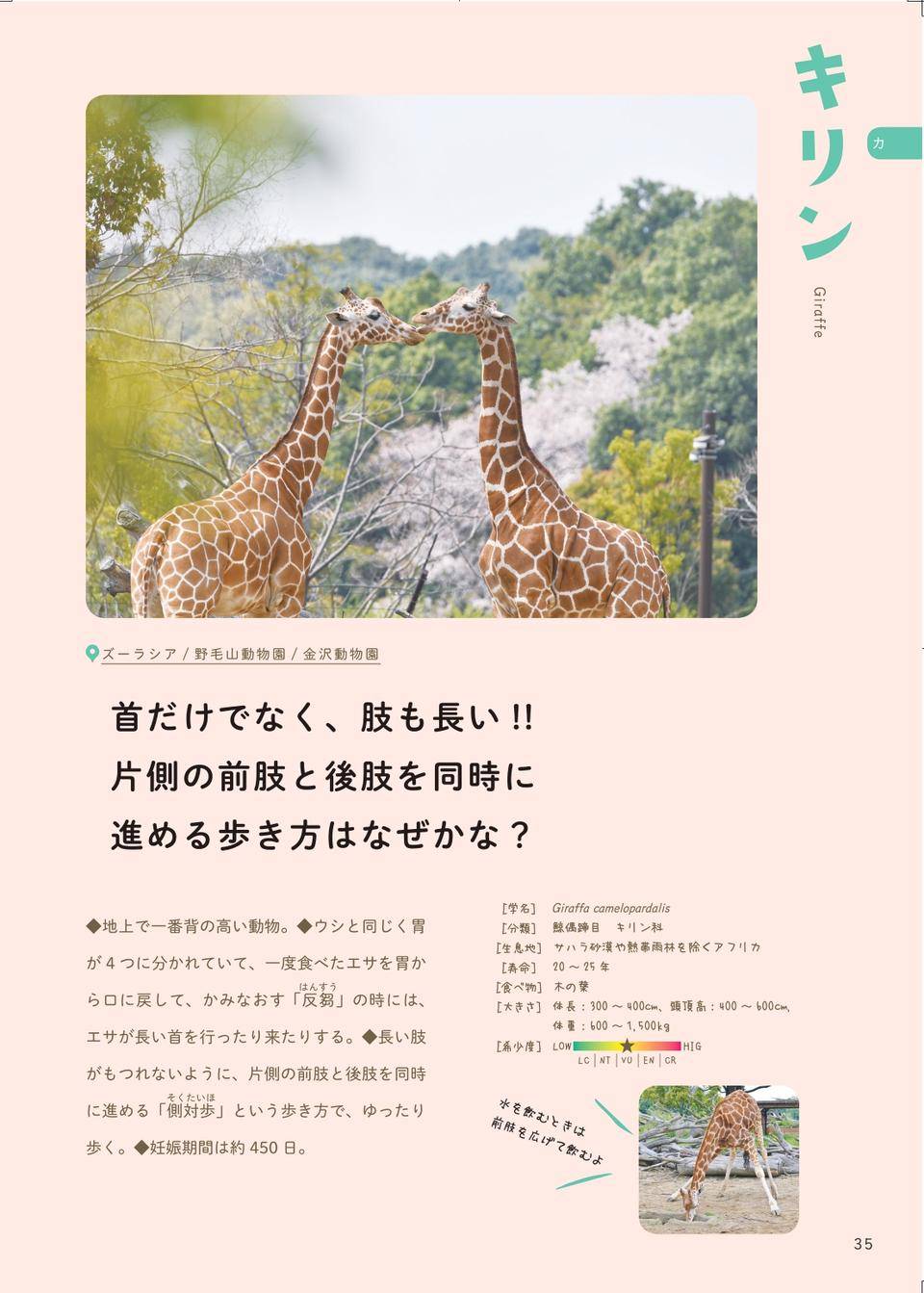 04案内帖_3園:キリン.jpg